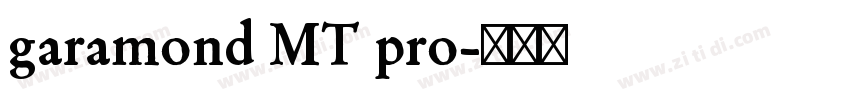 garamond MT pro字体转换